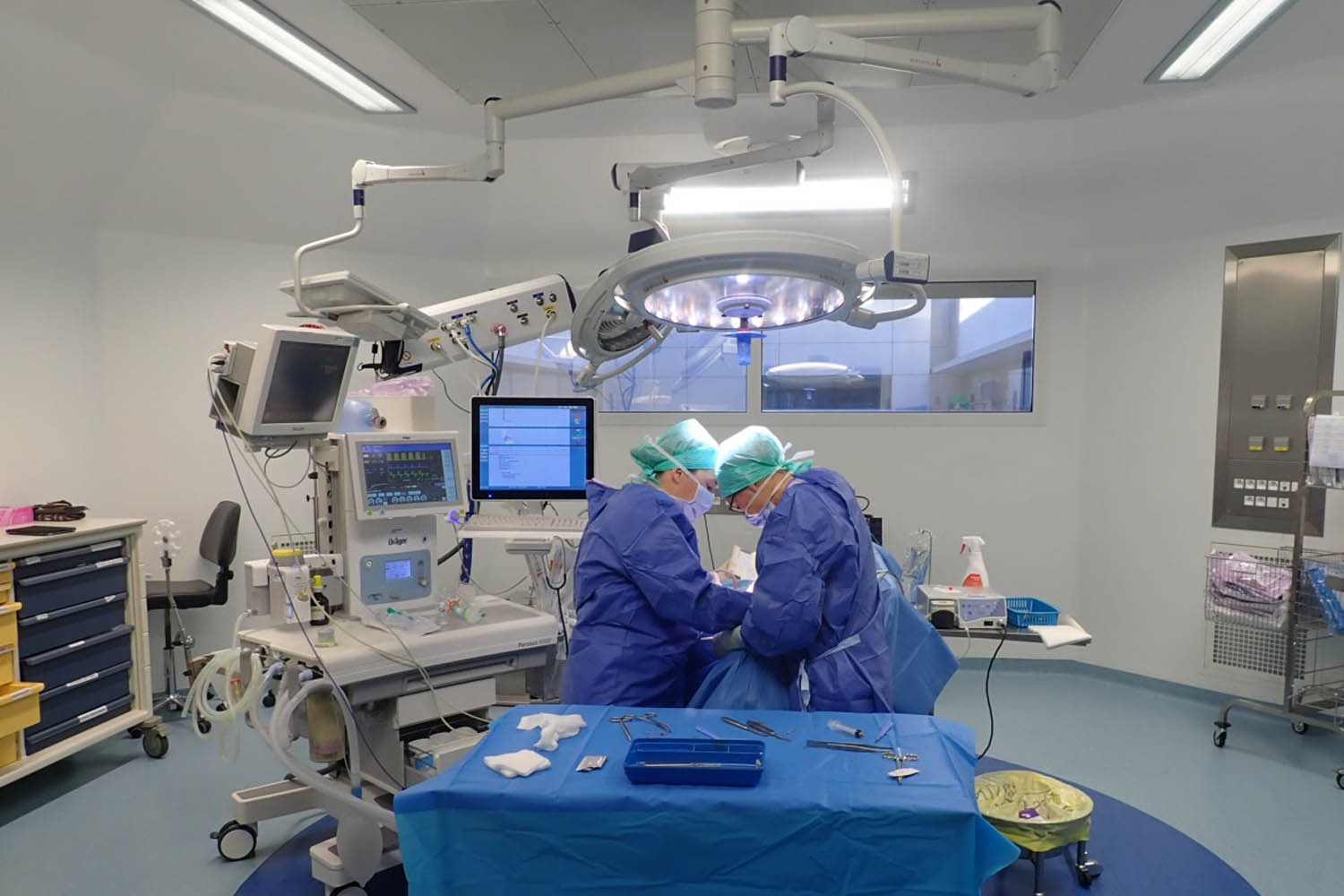 population terrain intentionnel radiologie jules verne nantes poudre Pharmacologie adopter